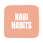 Nabi Habillement