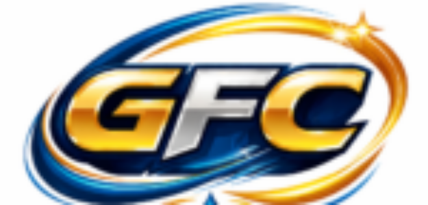 Gora Falilou Cosmetique