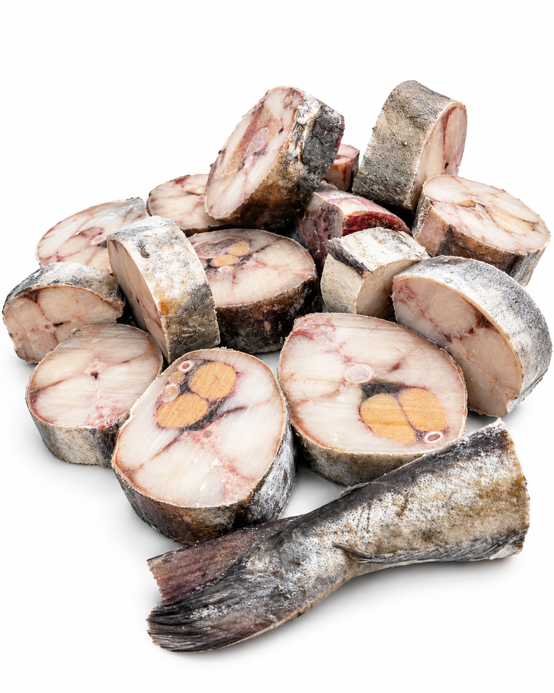 Poisson Todjè