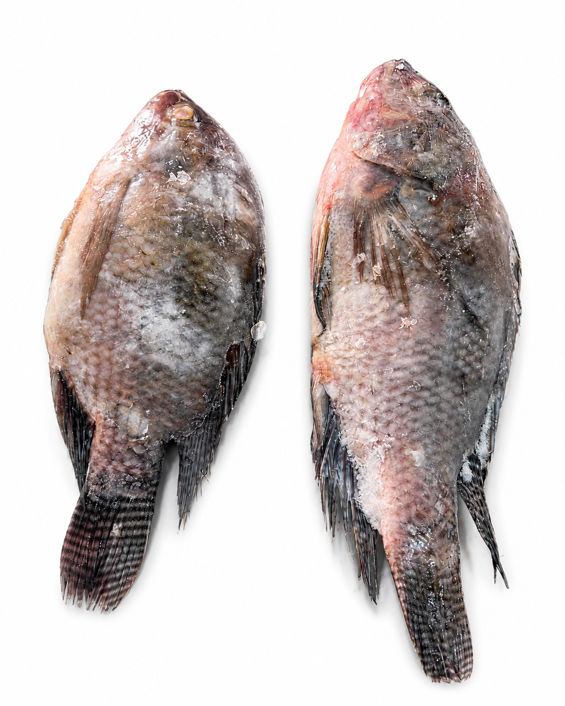 Poisson Wass par/ kg