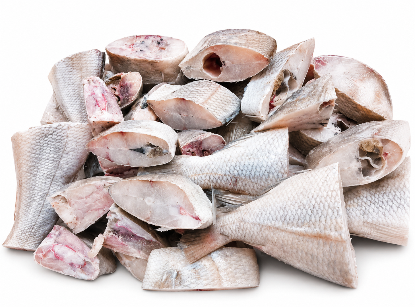 Poisson Sompot