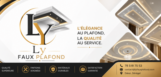 Ly Faux Plafond