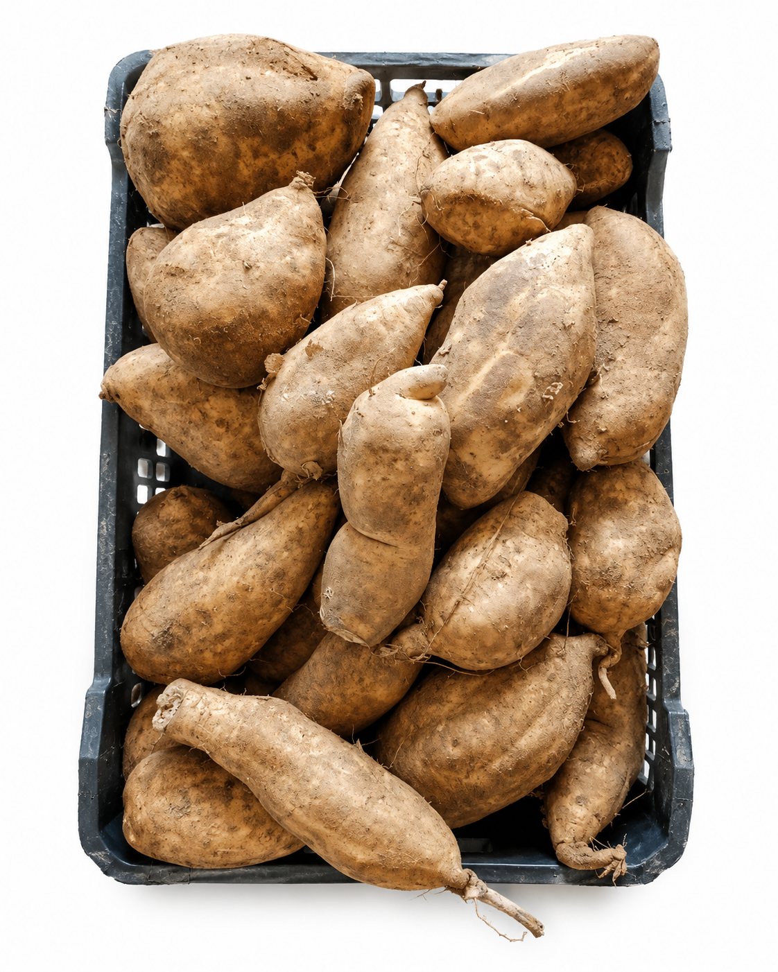 Patate Douce 1KG