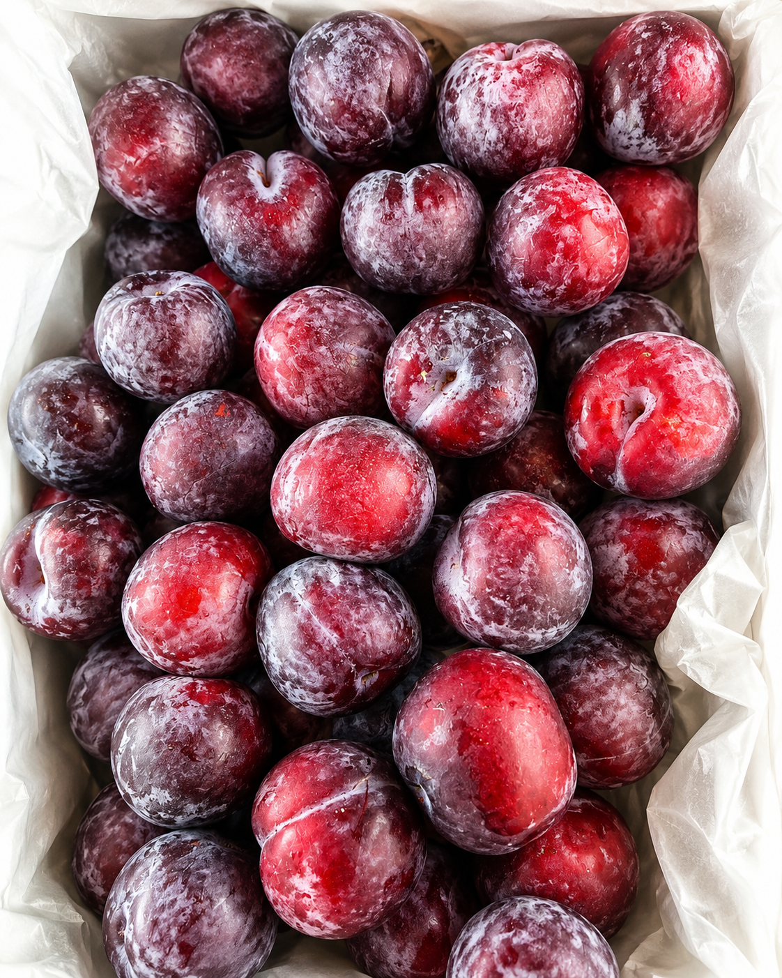 Fruits Pommes charnues