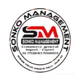 Entreprise Sonko management